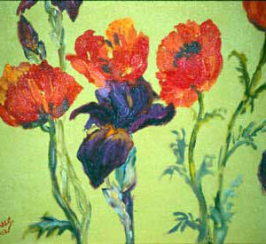 Poppies and Irises